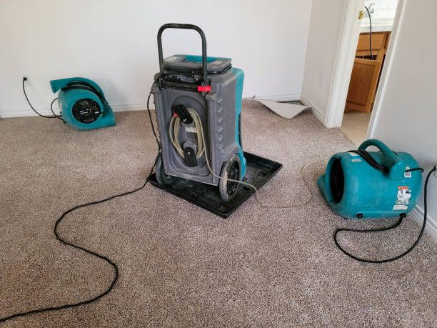 Water damage restoration mold remediation in Reynoldsville, PA
