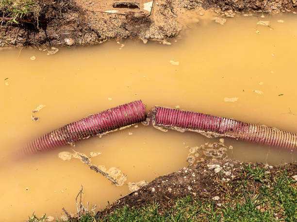 Carpet water damage restoration in Reynoldsville, PA